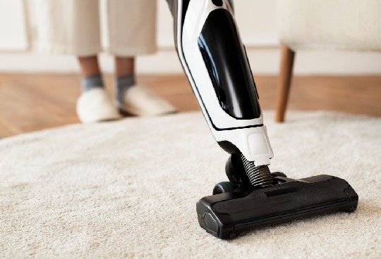 Choose the best among the best Carpet Cleaning